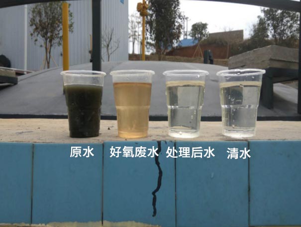 污水曝气罗茨鼓风机应用案例
